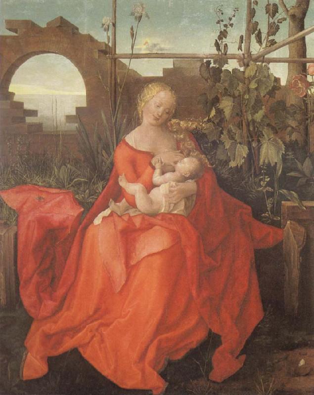 Albrecht Durer The Madonna with the Iris imitator of Albrecht Durer oil painting image